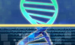 Decenas de miles de exomas humanos han hecho posible la elaboración del mayor catálogo de variación genética en región codificante del genoma humano existente hasta la fecha. Imagen: Jonathan Bailey (National Human Genome Research Institute, http://www.genome.gov).