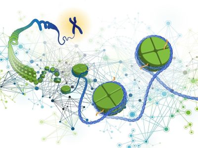 estudio de la epilepsia