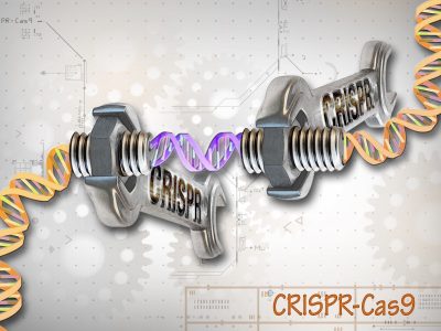 Tecnología CRISPR. Imagen: Ernesto del Aguiila, National Human Genome Research Institute (www.genome.gov).