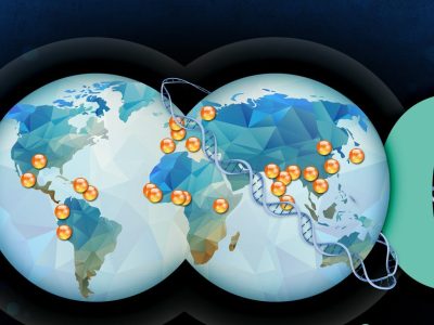 An international team of scientists from the 1000 Genomes Project Consortium has created the world's largest catalog of genomic differences among humans, providing researchers with powerful clues to help them establish why some people are susceptible to various diseases.