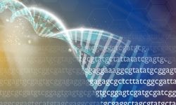 NHGRI-DNA.jpg