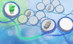 El equipo de investigadores ha analizado los patrones de fragmentación de ADN libre en plasma para determinar cómo era la distribución de nucleosomas en las células de origen del ADN liberado en plasma. Imagen: Darryl Leja, National Human Genome Research Institute,(https://www.genome.gov (National Institute of Health).