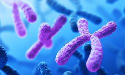 Las personas con síndrome de Down tienen tres cromosomas 21 en sus células, en lugar de las dos copias habituales. Imagen: National Institute of Health, EE. UU. CC BY NC 2.0 (https://creativecommons.org/licenses/by-nc/2.0/).