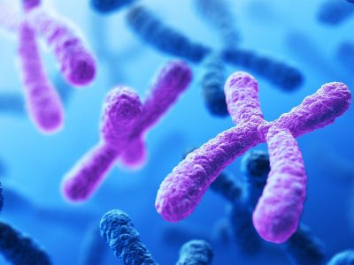Las personas con síndrome de Down tienen tres cromosomas 21 en sus células, en lugar de las dos copias habituales. Imagen: National Institute of Health, EE. UU. CC BY NC 2.0 (https://creativecommons.org/licenses/by-nc/2.0/).