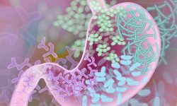 Dos trabajos identifican relaciones entre la variación genética humana y el microbioma del intestino. Imagen: Darryl Leja, National Human Genome Research Institute, National Institutes of Health.