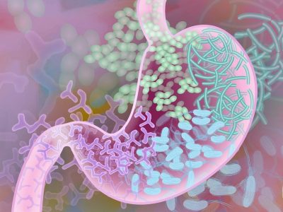 Dos trabajos identifican relaciones entre la variación genética humana y el microbioma del intestino. Imagen: Darryl Leja, National Human Genome Research Institute, National Institutes of Health.