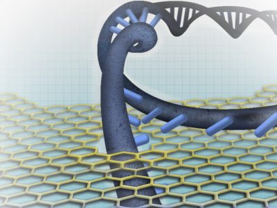 Nanopore-based DNA sequencing concepts generally entail one of the DNA strands passing through the nanopore sensor, where the individual nucleotides (DNA building blocks) are distinguished from each other. National Human Genome Research Institute (NHGRI) from Bethesda, MD, USA, CC BY 2.0 , via Wikimedia Commons
