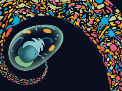 La idea de la herencia genética procedente de múltiples socios procariotas se representa como una espiral que evoca el complejo entorno microbiano donde pudo haberse originado el último ancestro común eucariota, confluyendo en el ADN del núcleo de los primeros eucariotas. Ilustración sobre el origen de los eucariotas de la artista Laura Fraile, basada en conversaciones con los autores.