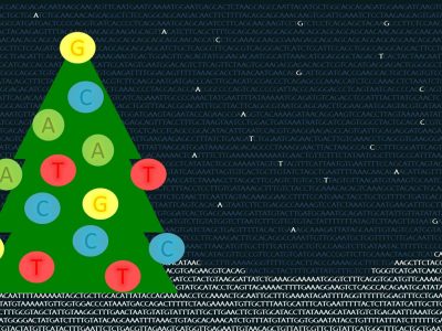 Navidad 2015