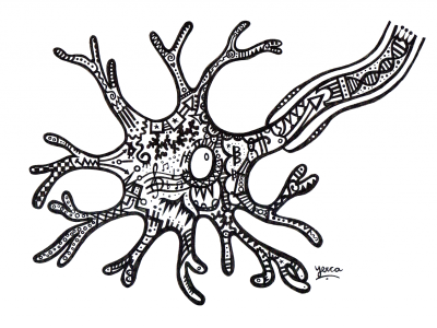 Neurona. Imagen cortesía de Marta Yerca.