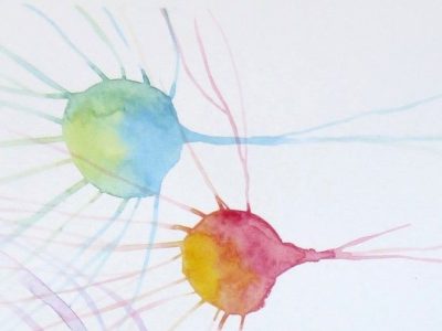 Neuronas. Imagen cortesía de Dr. LaPadula.