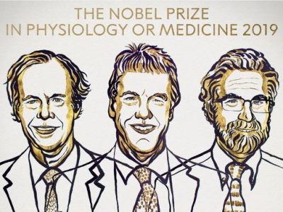 William G. Kaelin Jr., Sir Peter J. Ratcliffe y Gregg L. Semenza han sido galardonados con el Premio Nobel de Fisiología y  Medicina de 2019. Imagen: Fundación Nobel.