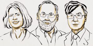 Mary E. Brunkow, Fred Ramsdell y Shimon Sakaguchi serán galardonados con el Premio Nobel de Fisiología o Medicina por descubrir cómo las células T reguladoras evitan que el sistema inmunitario ataque al propio organismo.
