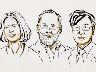Mary E. Brunkow, Fred Ramsdell y Shimon Sakaguchi serán galardonados con el Premio Nobel de Fisiología o Medicina por descubrir cómo las células T reguladoras evitan que el sistema inmunitario ataque al propio organismo.