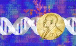 En este post recordamos los Premios Nobel de la Genética más recientes.