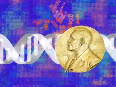 En este post recordamos los Premios Nobel de la Genética más recientes.