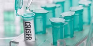 Nueva herramienta CRISPR muestra potencial para eliminar células del cáncer, dejando intactas a las células normales. Imagen: Canva.