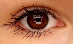 Ojo humano relacionado con las enfermedades oculares como el glaucoma.