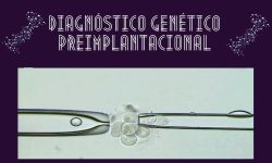 PGD PORTADA