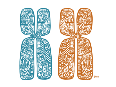 Cromosomas homólogos. Imagen cortesía de Marta Yerca.