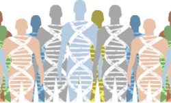 El Proyecto Genoma Humano (PGH) se convierte no solo en un emblema tecno-científico de finales de siglo XX, sino que también en la primicia tecnológica y comercial del país en el siglo XXI.