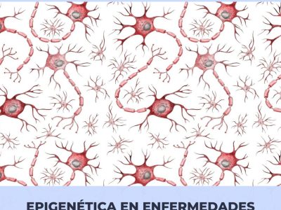 Portada #BLOG epigenética neurodegenerativas