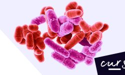 Portada-microbiología-molecular-practica-clinica