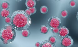 Primeras evidencias experimentales sobre la eficacia de la terapia génica 'in vivo' para la anemia de Fanconi