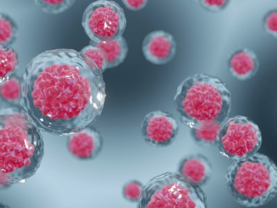 Primeras evidencias experimentales sobre la eficacia de la terapia génica 'in vivo' para la anemia de Fanconi