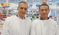 Los investigadores Jacob George y Doctor Mohammed Eslam confían que los resultados del trabajo abran una nueva vía de desarrollo de tratamientos para la fibrosis hepática. Imagen:  Westmead Institute for Medical Research.
