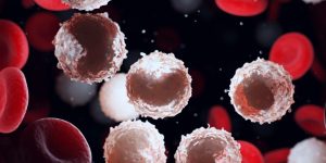 Trasladar el análisis de los 6 genes a una prueba podría permitir la clasificación de pacientes con leucemia en grupos con perspectivas de supervivencia muy distintas.