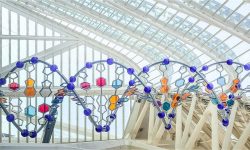 Representación de la doble helice del ADN con las bases nitrogenadas. Fuente: Canva