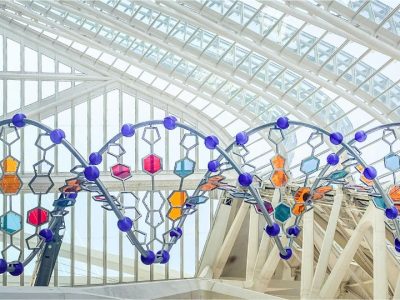 Representación de la doble helice del ADN con las bases nitrogenadas. Fuente: Canva