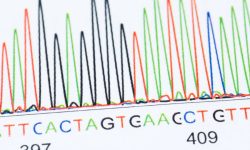 esultados de la secuenciación por Sanger de un fragmento de ADN