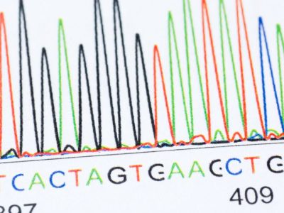 esultados de la secuenciación por Sanger de un fragmento de ADN