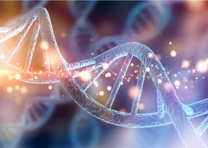 Revelan cómo diferentes mutaciones en el gen MYH9 dan lugar a diferente gravedad de enfermedades.