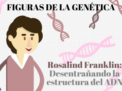 Rosalind Franklin 2