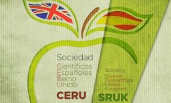 La sociedad CERU, creada en 2011, surgió entre otros objetivos para favorecer el intercambio social y profesional entre los investigadores españoles en Reino Unido. Imagen: SRUK-CERU.