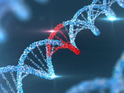 Secuencia de ADN con una modificación