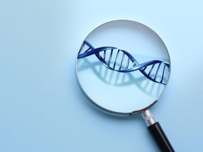 Secuencia de ADN objetivo para poder ser modificada con terapia génica