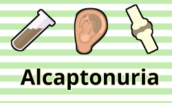 Syntoms_2 - Alcaptonuria