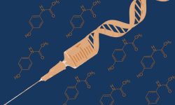 Los investigadores han añadido a los componentes de la terapia génica la información para producir un ARN que protege a las células que reciben el tratamiento de la toxicidad generada por dosis elevadas de paracetamol. Imagen: Genotipia