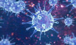Existen diferentes tipos de virus