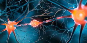 Un entorno estimulante en la infancia favorece mejor memoria.