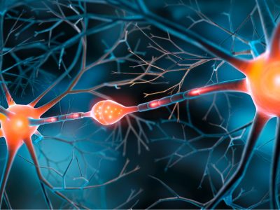 Un entorno estimulante en la infancia favorece mejor memoria.