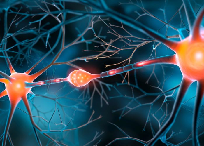 Un entorno estimulante en la infancia favorece mejor memoria.