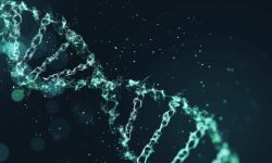 Un estudio cartografía los elementos reguladores de los genes y el genoma, importantes para comprender mejor muchas enfermedades. Imagen: Adobe Express.