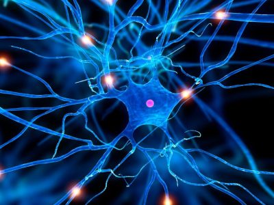 Un estudio genómico sobre epilepsia identifica nuevas variantes