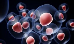 Un estudio ha identificado una diana para el tumor fibroso solitario.