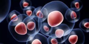 Un estudio ha identificado una diana para el tumor fibroso solitario.